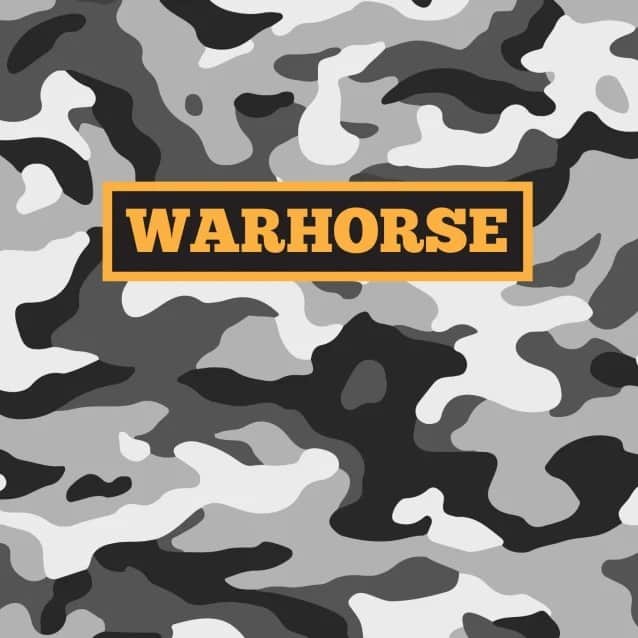 iron maiden paul dianno, Former IRON MAIDEN Singer PAUL DI’ANNO Launches WARHORSE Project, Announces Debut Single